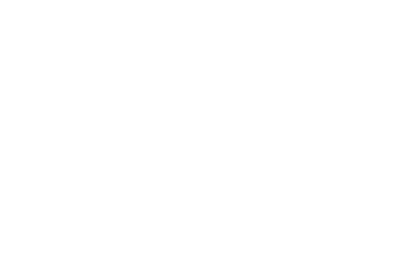 RM Capacitor